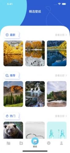 茶杯狐电视版