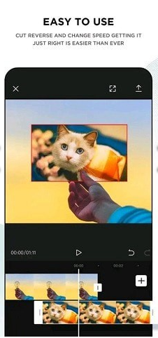 capcut中文版