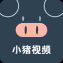 小猪视频直播