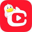 点淘手机版