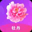 牡丹直播平台