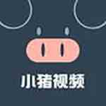 小猪视频安卓版