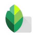 snapseed官方免费版 V2.22.0.633363672