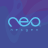 neo Study V1.26.0.2024.12.11