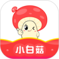 小白菇