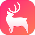 鹿优选 V1.5.3