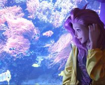 妄想山海灵巫铁铁位置介绍:妄想山海灵巫铁铁在哪个州