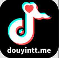 抖阴探探douyintt