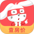 兔博士