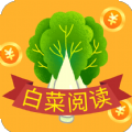 白菜阅读最新版